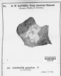 Image Associated With the Occurence